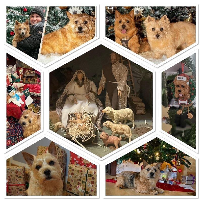 Frohe Weihnachten!