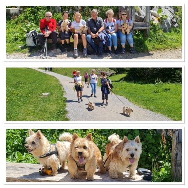 Familientreffen