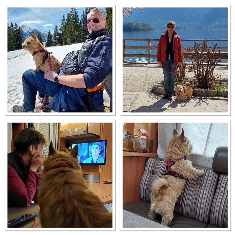 Amadeus - Urlaub im Salzkammergut