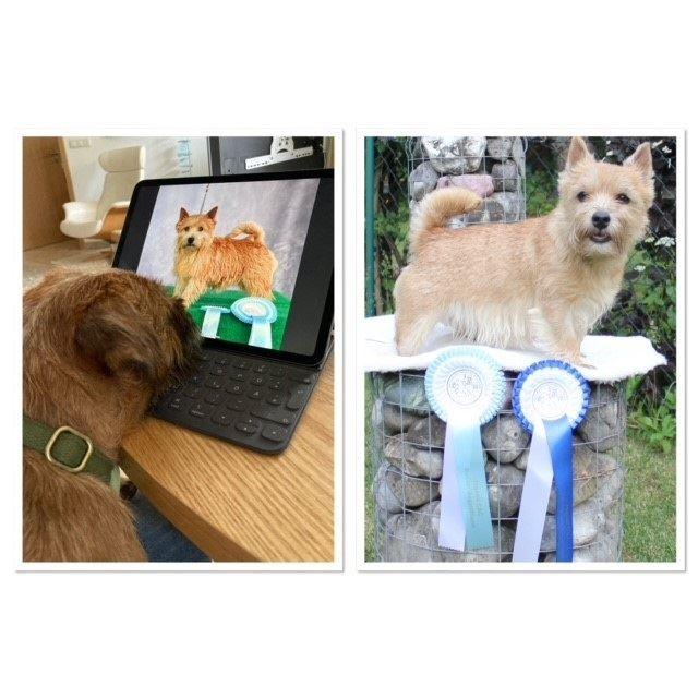 And the winner are ...