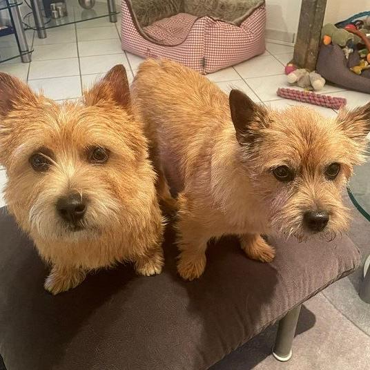 Anouk und Jeannie