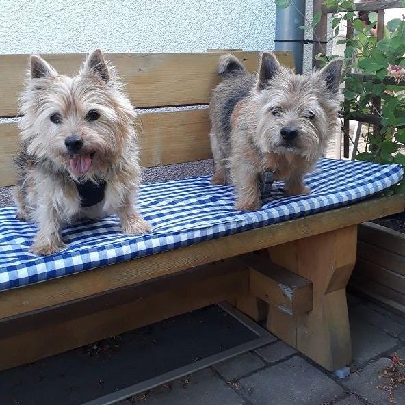 Blacky und Blümchen