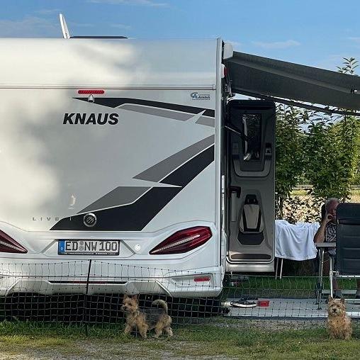 Besuch