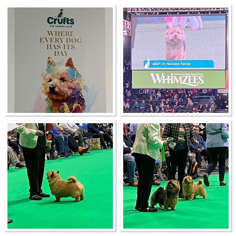 Crufts 2022