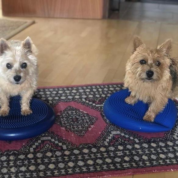 Emma und Wilma