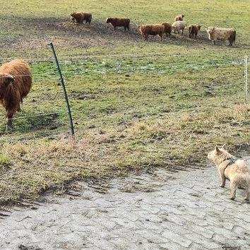 Unheimliche Begegnung der dritten Art