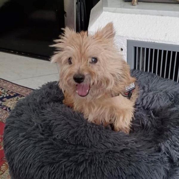 Max