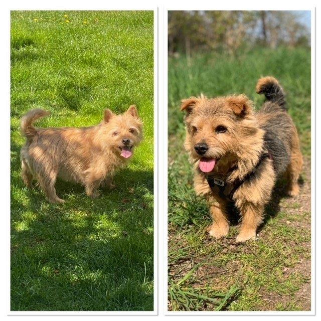 Felix und Danny