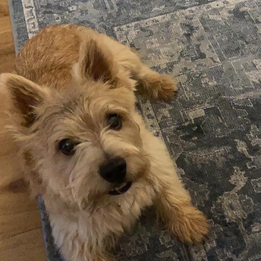 Hugo