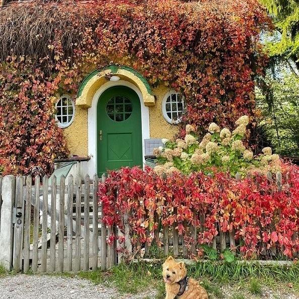 So schön kann der Herbst sein