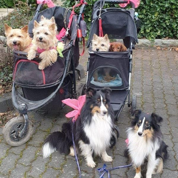 Startklar für den Karnevalsumzug