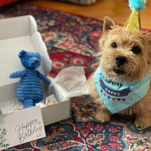 Happy Birthday!