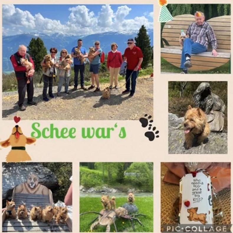 Zwei Geburtstagskinder