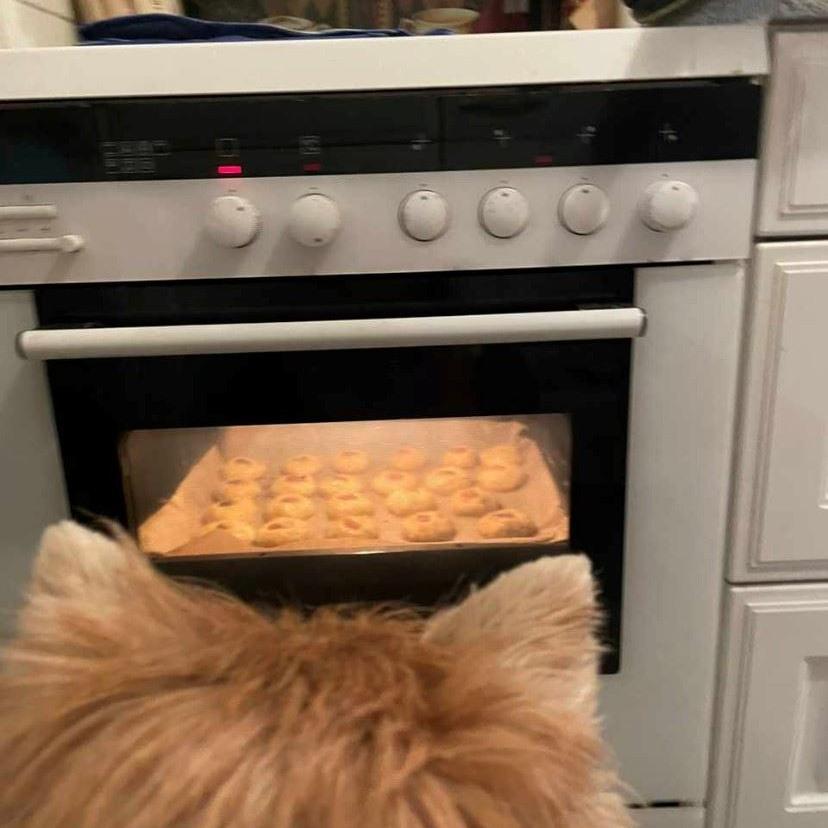 Wächter der Plätzchen