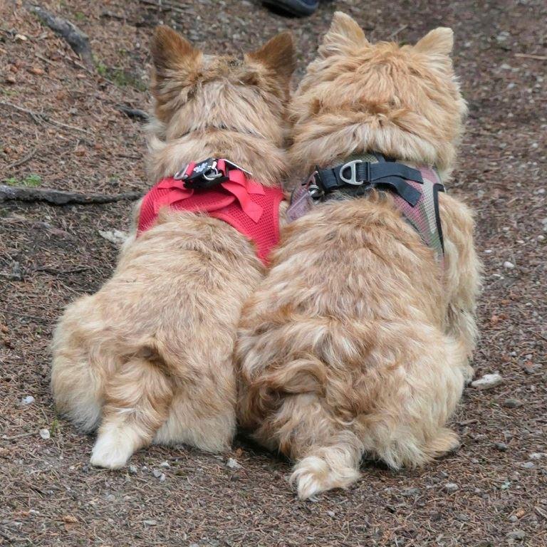 Tara und Kili