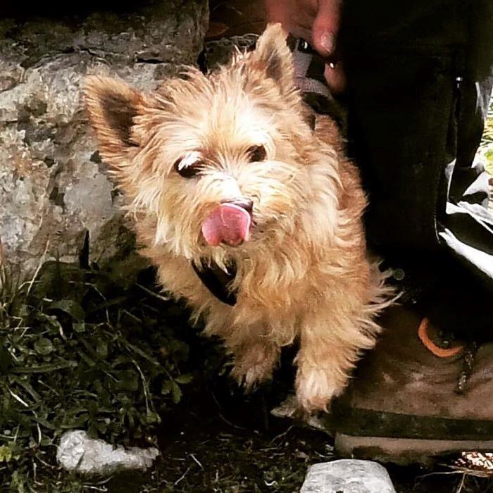 Lucy