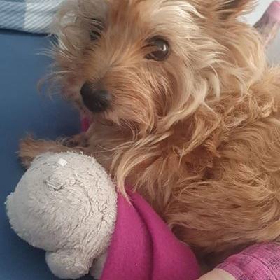 Lucy