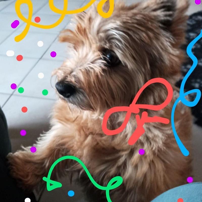 Den 9. Geburtstag