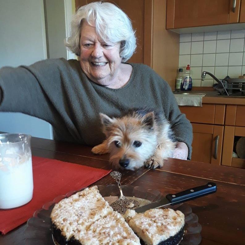 Geburtstags-Besuch