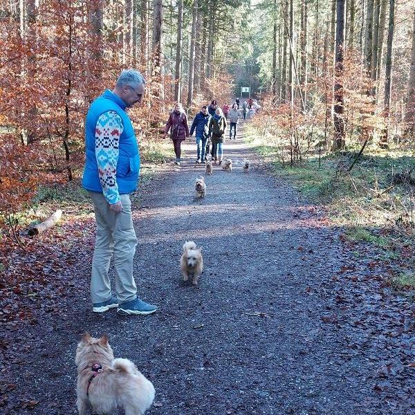 Drei-Königs-Wanderung