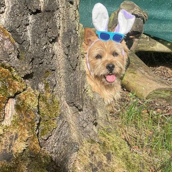 Frohe Ostern!