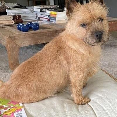 Pablo