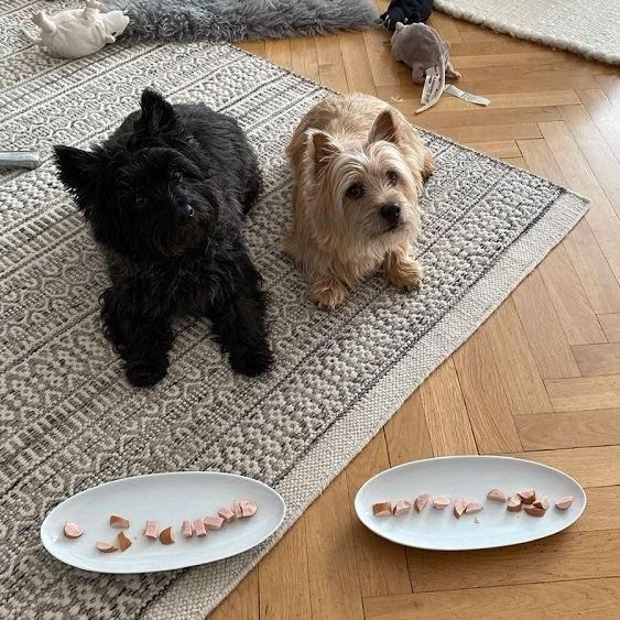 Happy Birthday Sunnys Sunnyboys