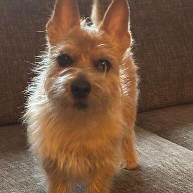 Sammy