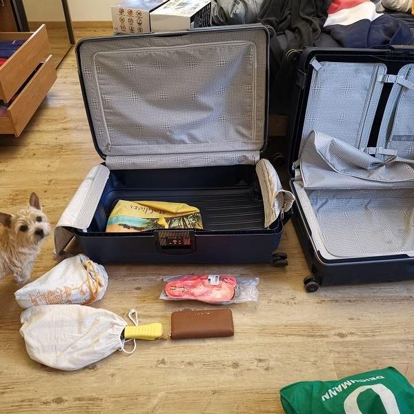 Wenn einer eine Reise tut