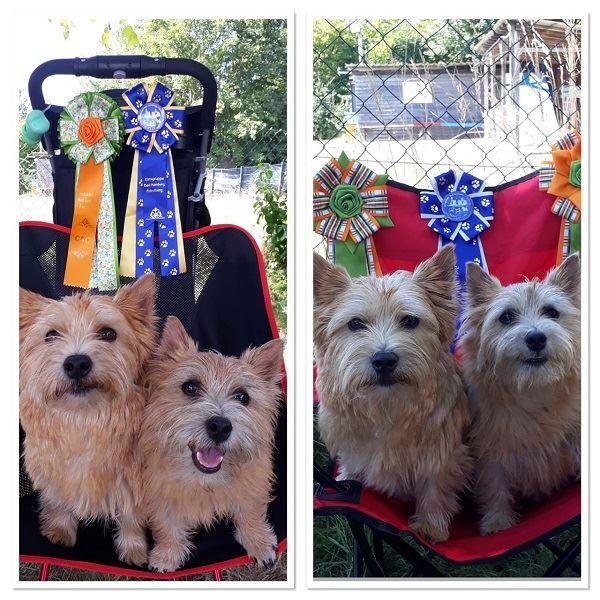 And the winner are ...