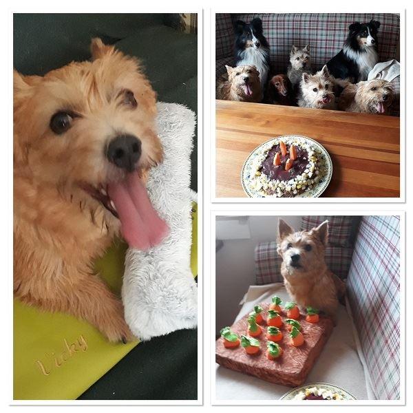 Happy Birthday!