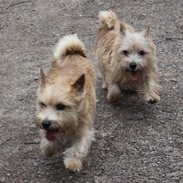 Vicky und Amber