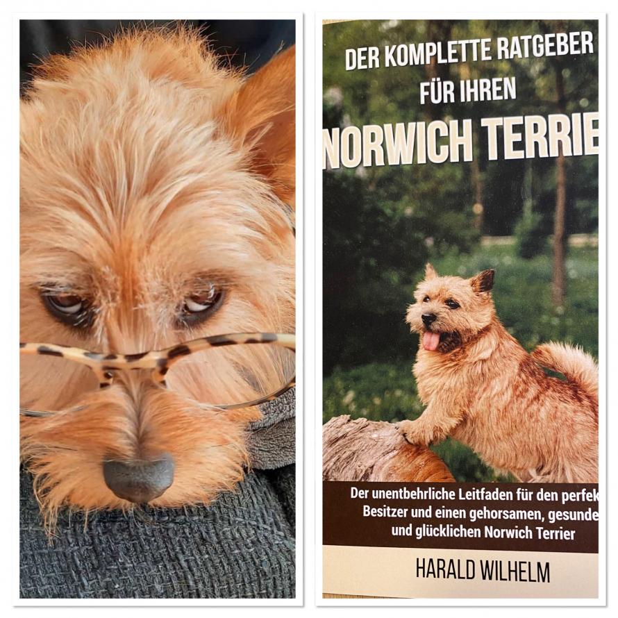 Lesen bildet nicht immer