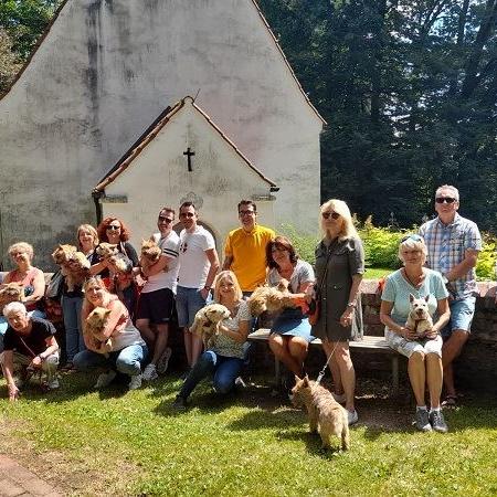 Norwich-Terrier-Treffen
