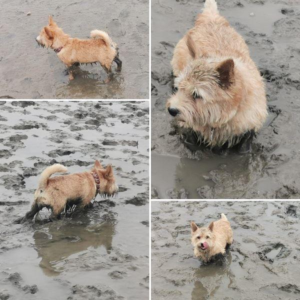 Watt mut, dat mut!