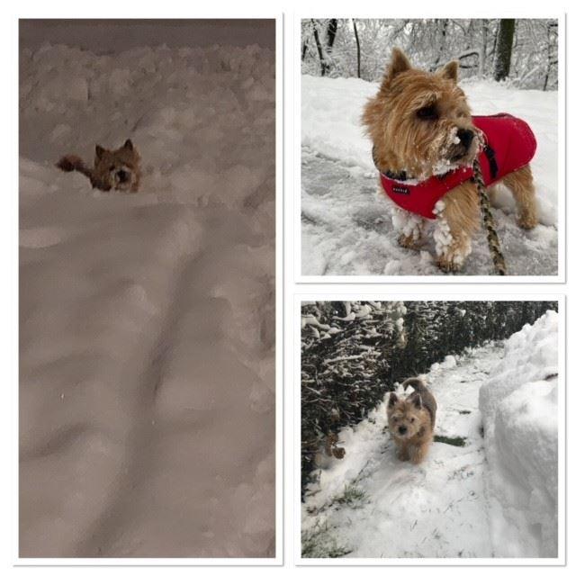 Winterwonderland