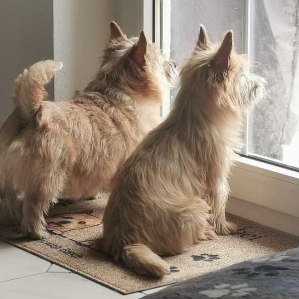 Wo bleibt Frauchen?