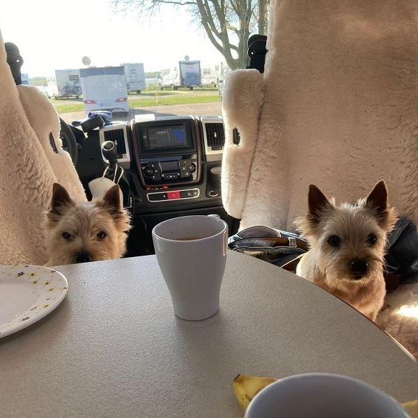 Emily und Norwich-Freundin Milka